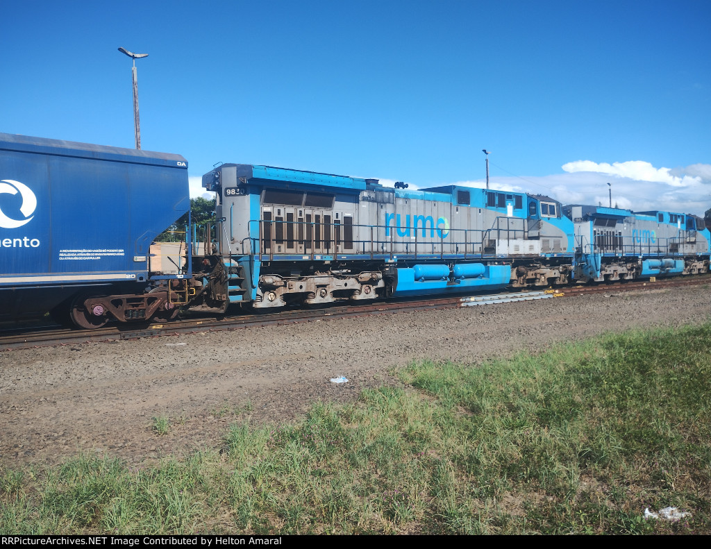 RUMO 9831